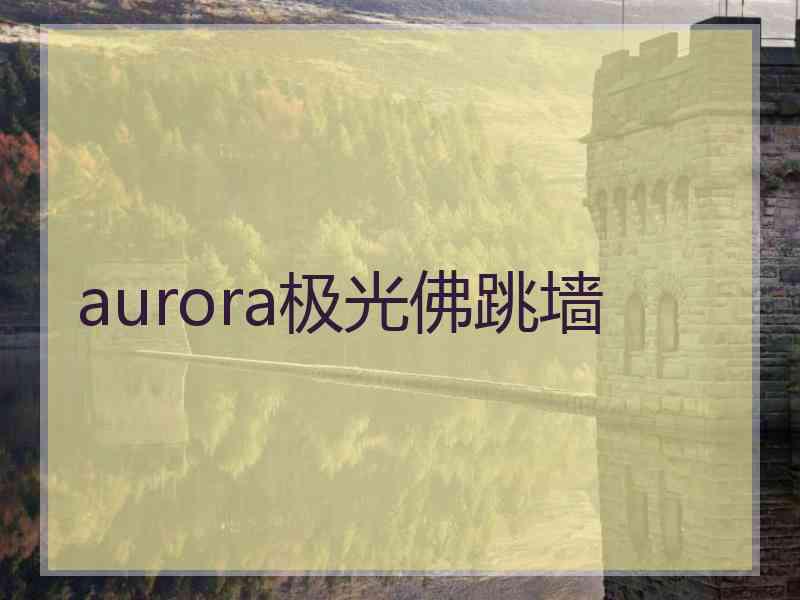 aurora极光佛跳墙