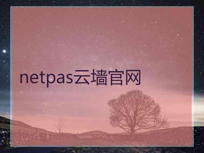 netpas云墙官网