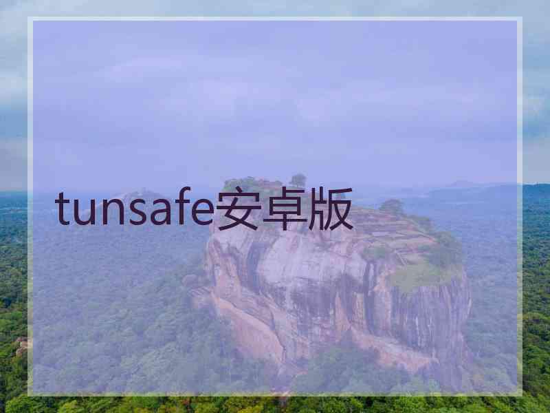 tunsafe安卓版