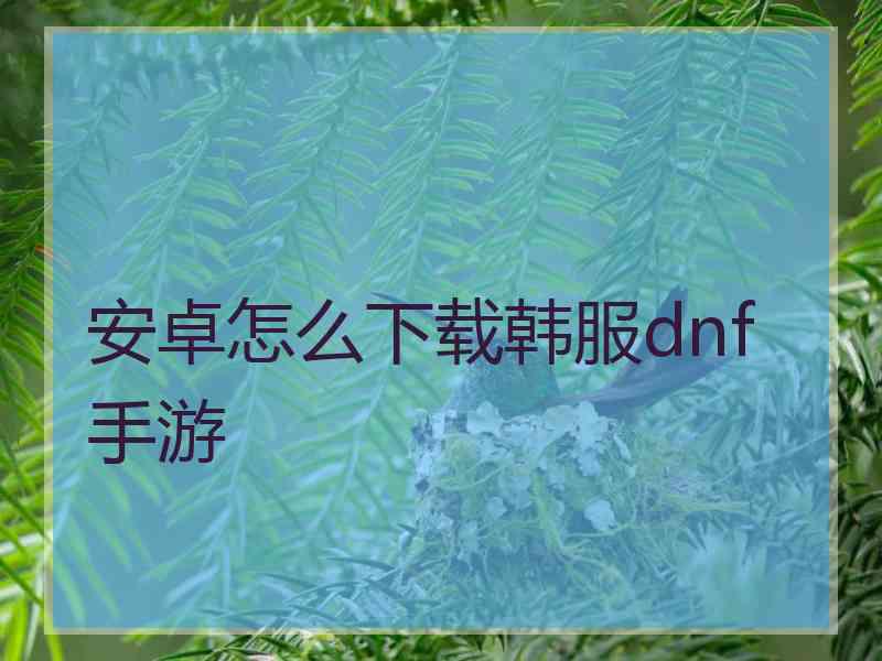 安卓怎么下载韩服dnf手游