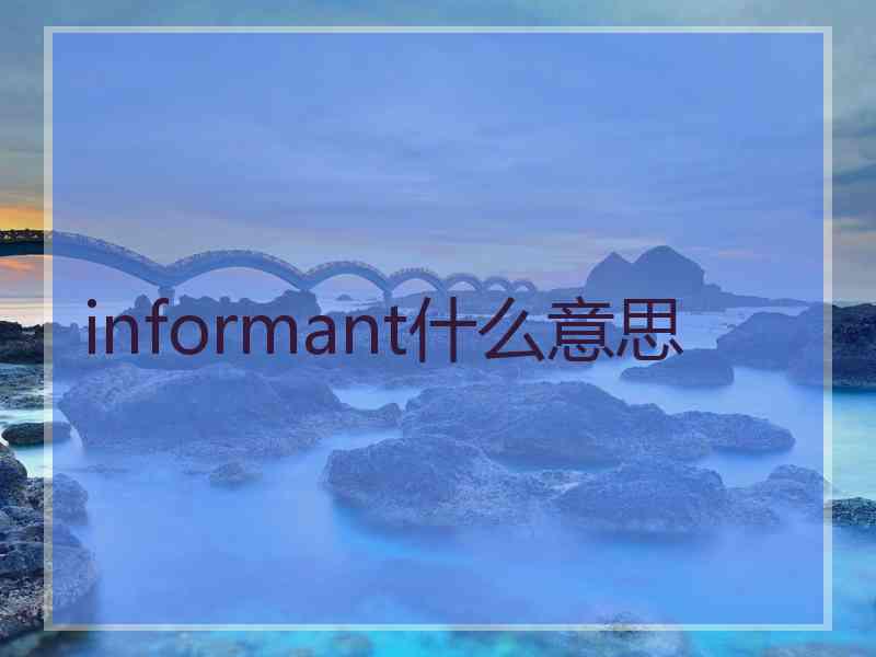 informant什么意思