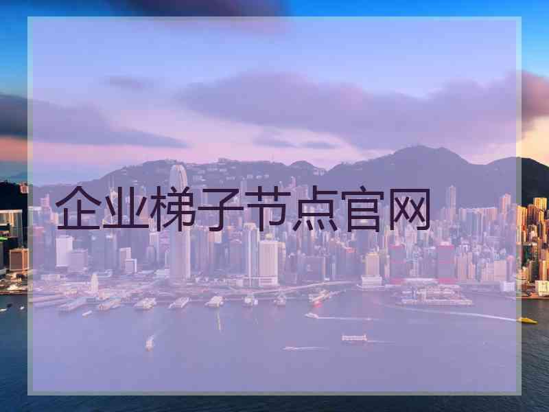 企业梯子节点官网