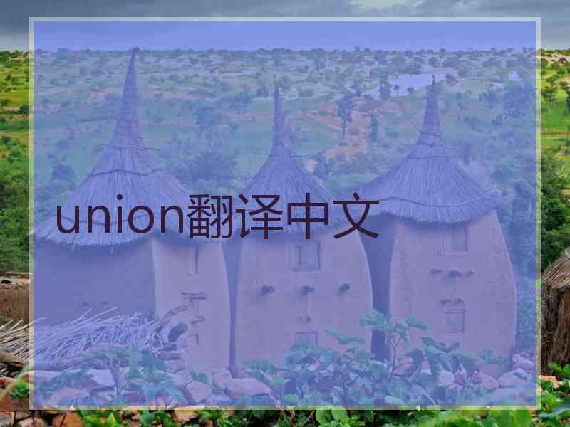 union翻译中文