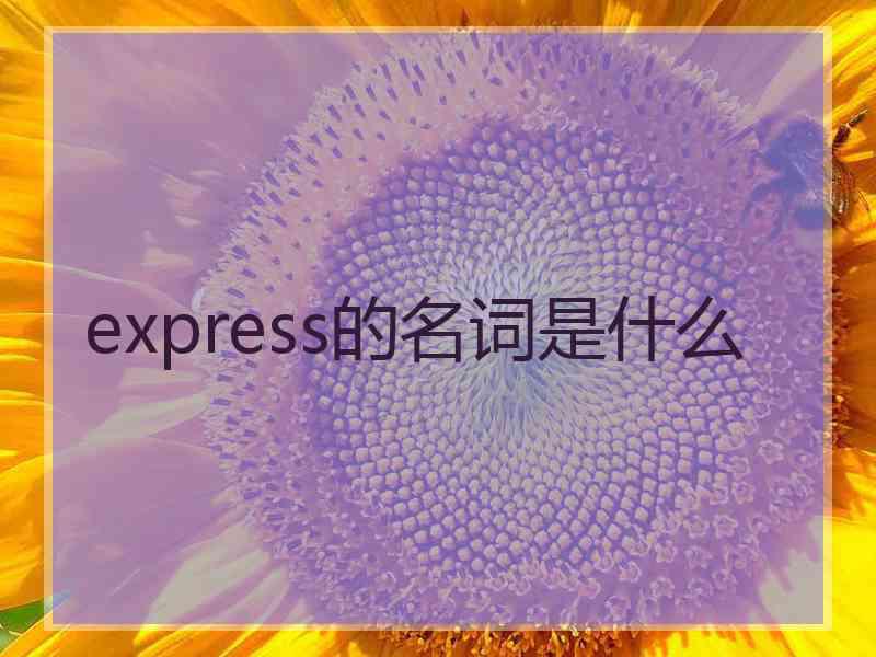 express的名词是什么