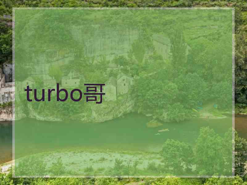 turbo哥