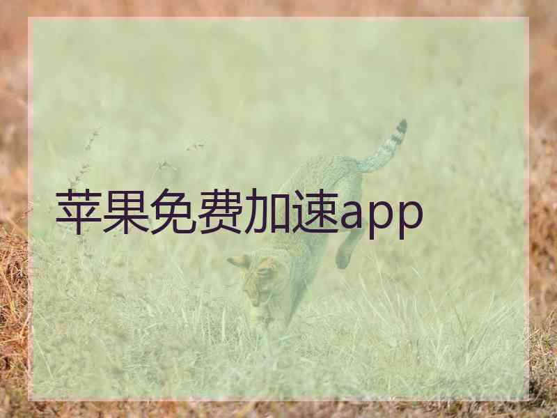 苹果免费加速app