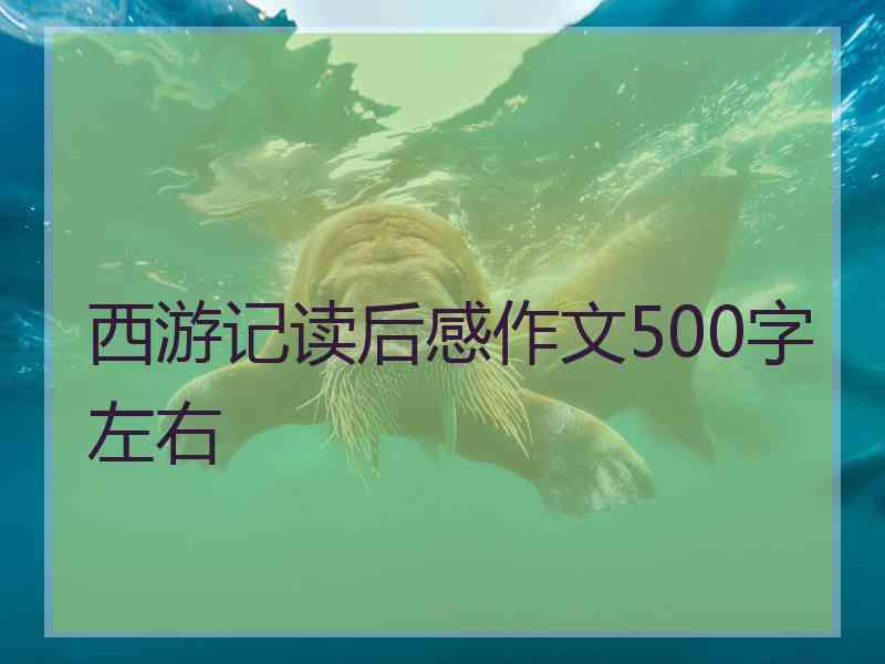 西游记读后感作文500字左右