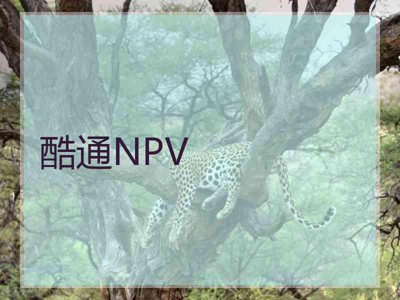 酷通NPV