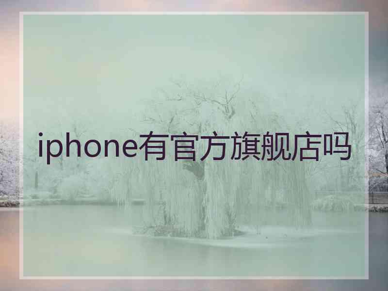 iphone有官方旗舰店吗