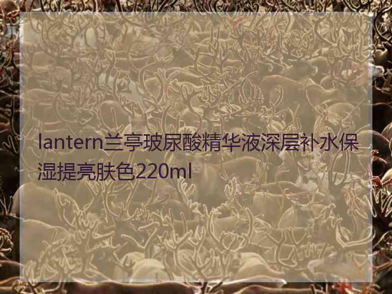 lantern兰亭玻尿酸精华液深层补水保湿提亮肤色220ml