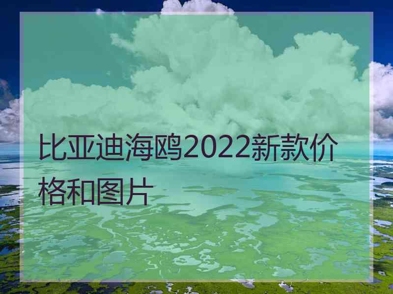 比亚迪海鸥2022新款价格和图片