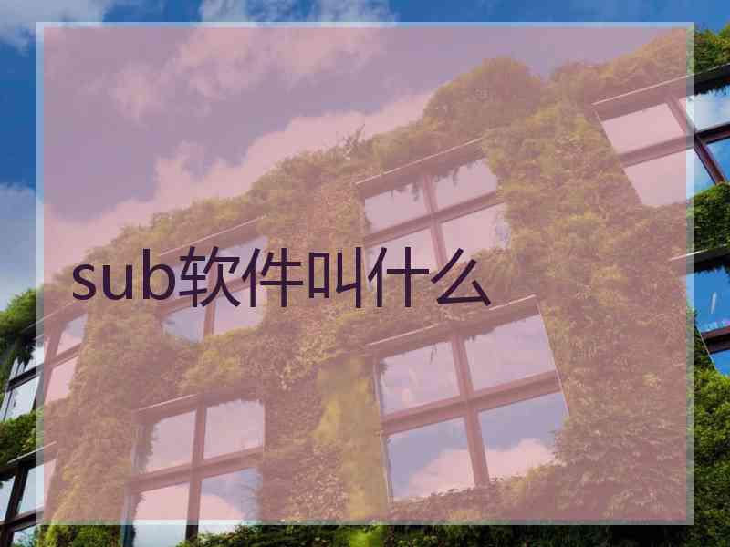 sub软件叫什么