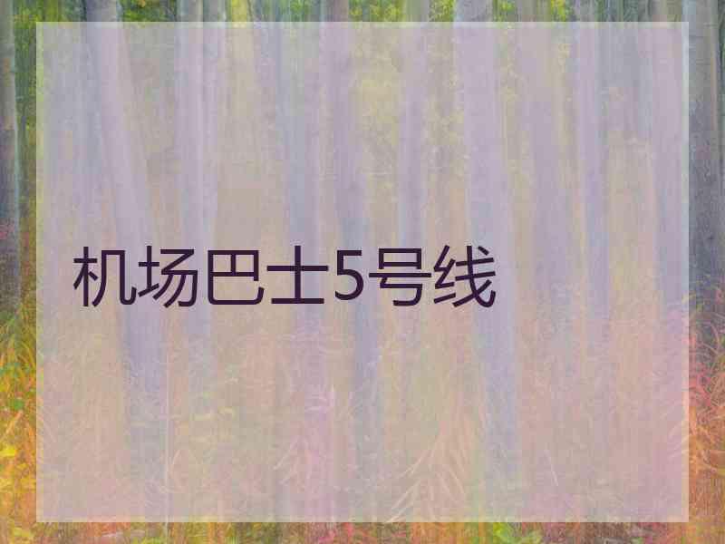 机场巴士5号线