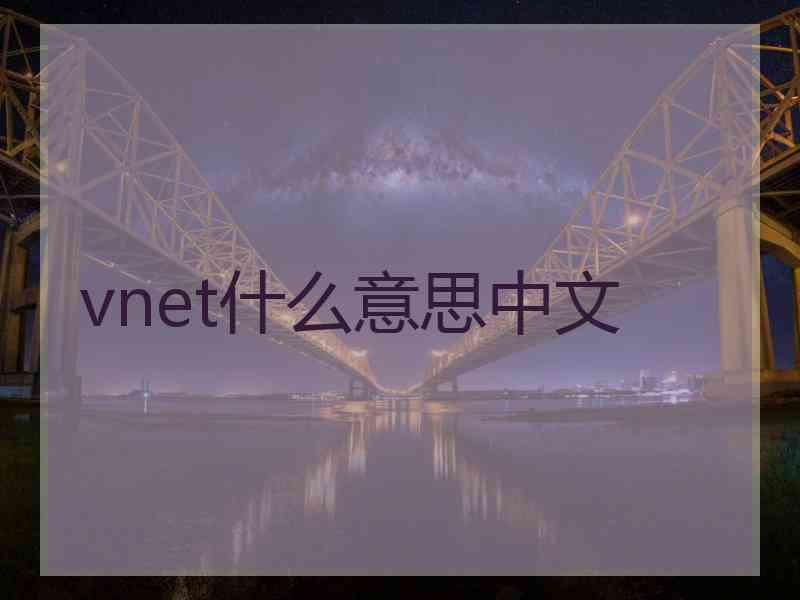 vnet什么意思中文