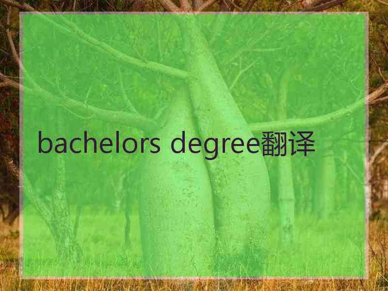 bachelors degree翻译