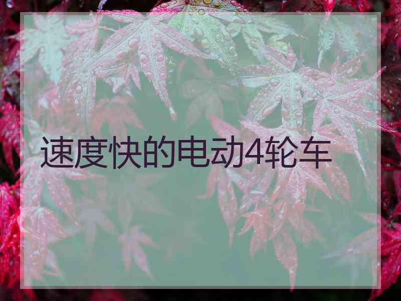 速度快的电动4轮车