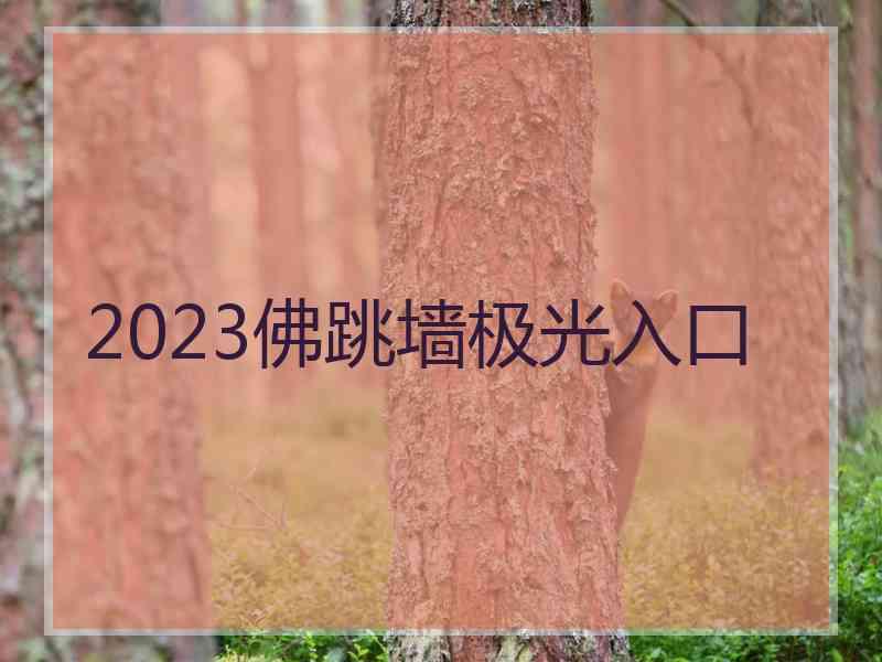 2023佛跳墙极光入口