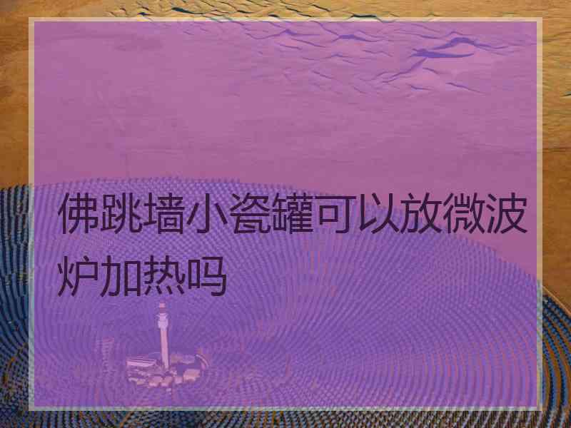 佛跳墙小瓷罐可以放微波炉加热吗