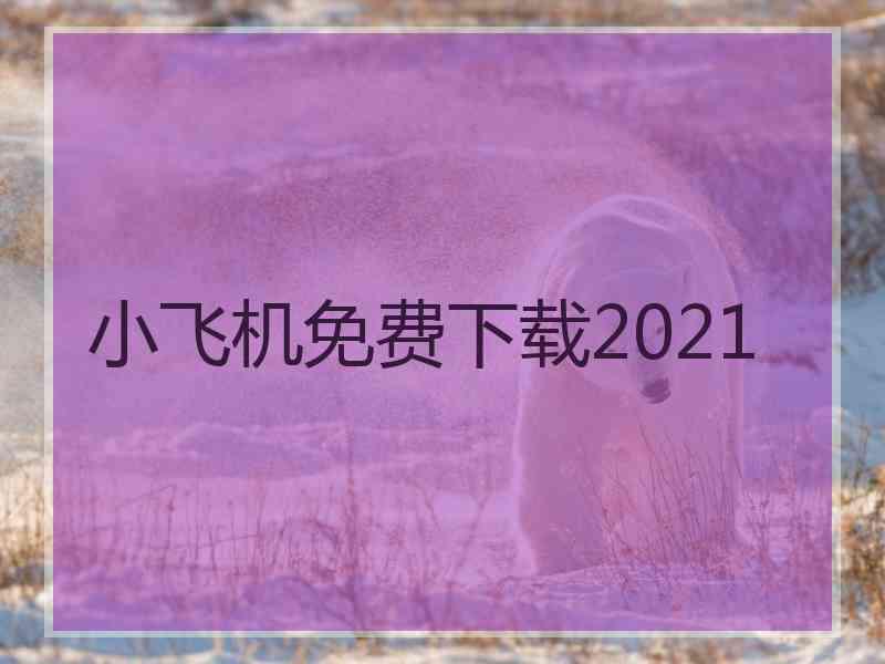 小飞机免费下载2021