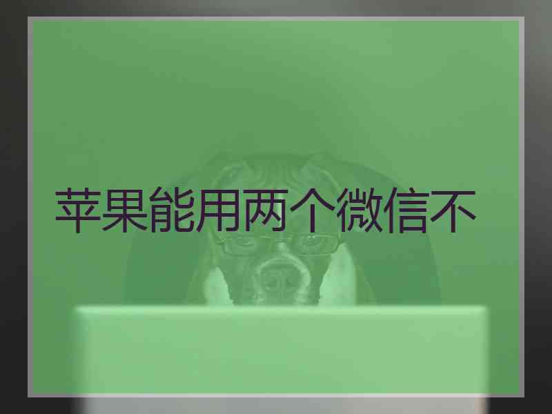 苹果能用两个微信不