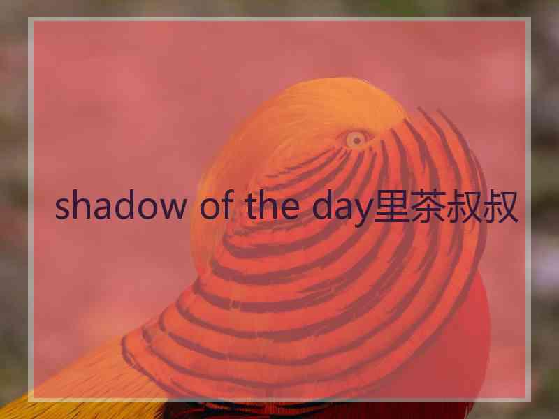 shadow of the day里茶叔叔