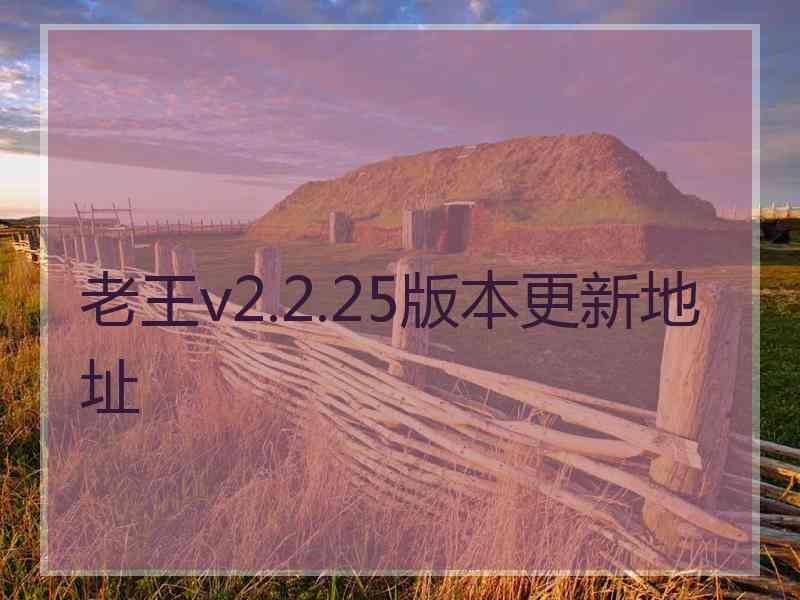 老王v2.2.25版本更新地址