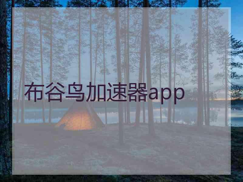 布谷鸟加速器app