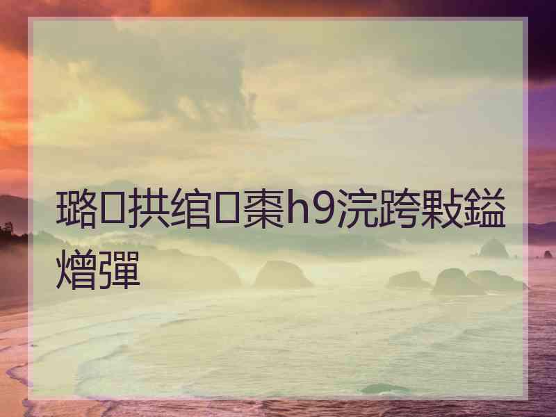 璐拱绾㈡棗h9浣跨敤鎰熷彈