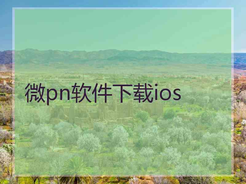 微pn软件下载ios