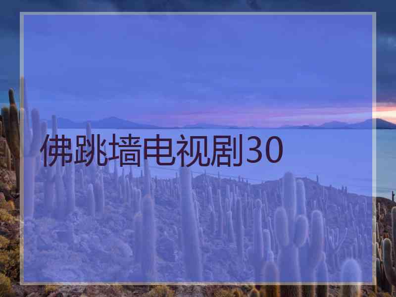 佛跳墙电视剧30