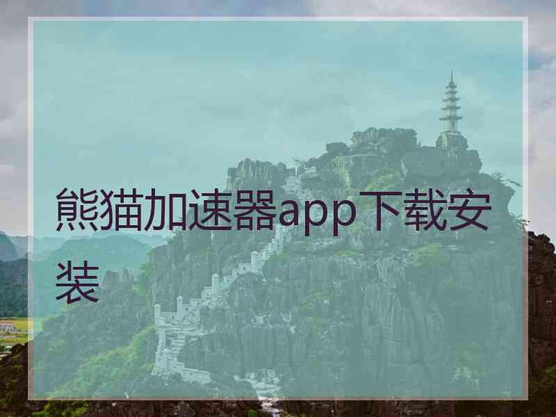 熊猫加速器app下载安装