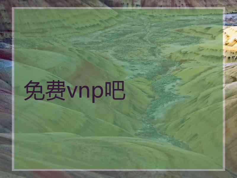 免费vnp吧