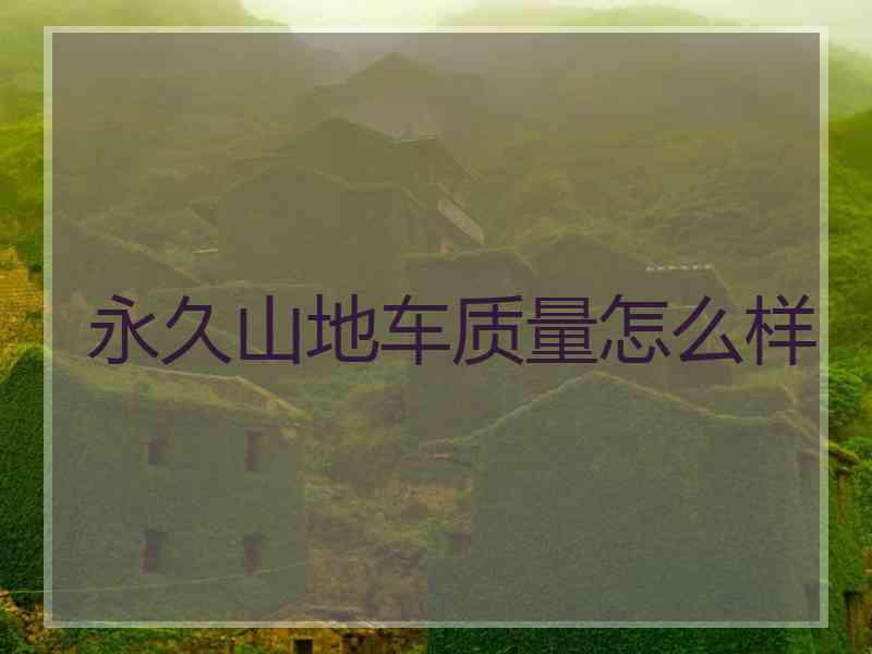 永久山地车质量怎么样