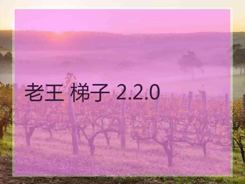 老王 梯子 2.2.0