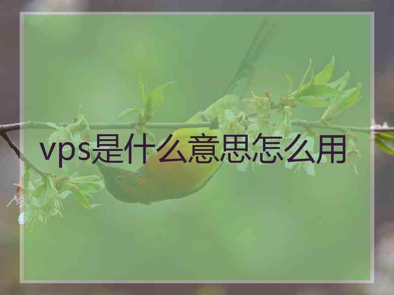 vps是什么意思怎么用