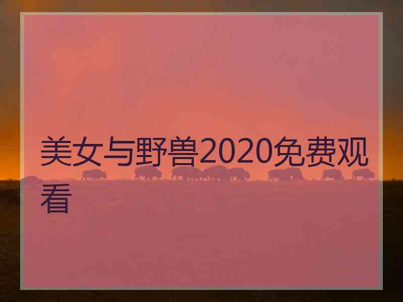 美女与野兽2020免费观看