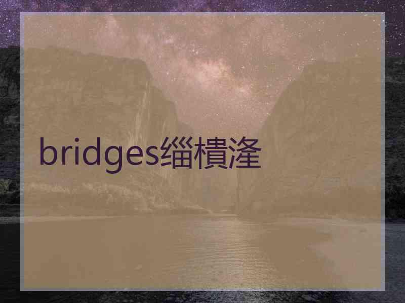 bridges缁樻湰