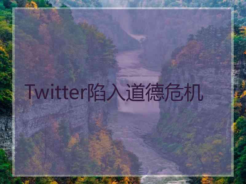 Twitter陷入道德危机