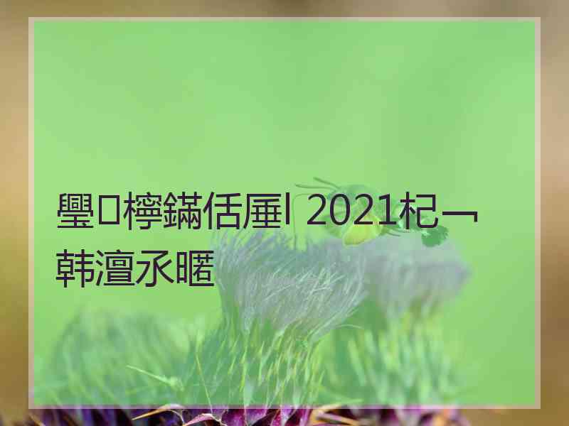 璺檸鏋佸厜l 2021杞﹁韩澶氶暱