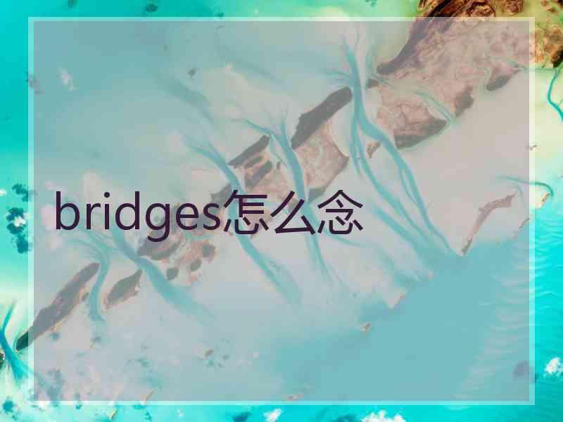 bridges怎么念