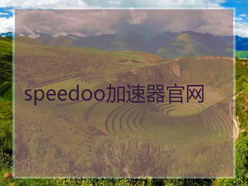 speedoo加速器官网