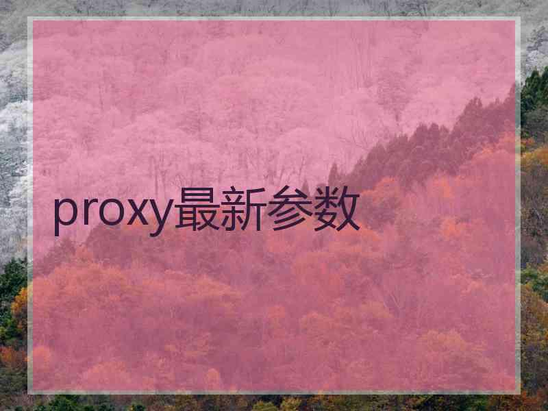 proxy最新参数