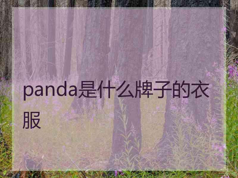 panda是什么牌子的衣服