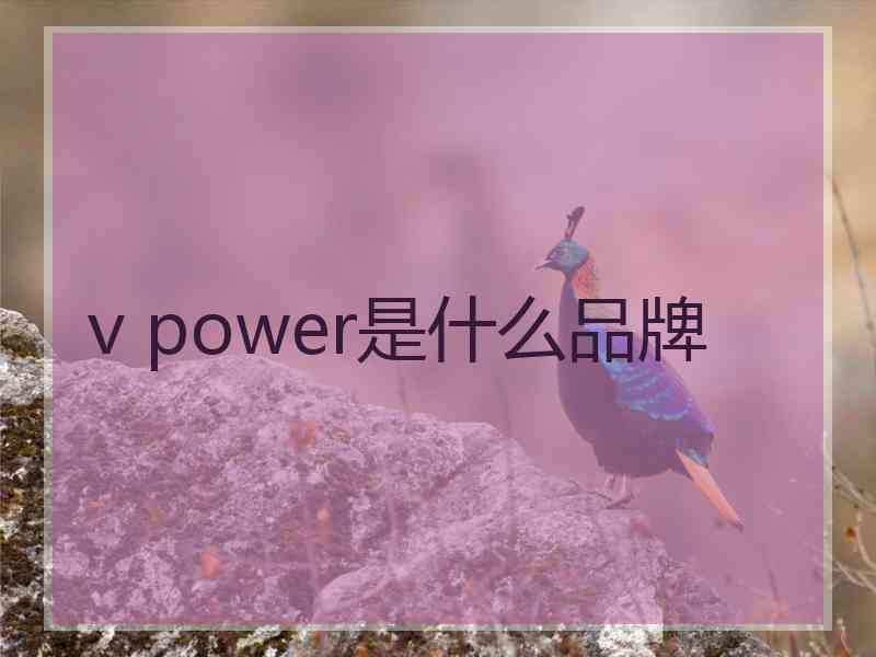 v power是什么品牌