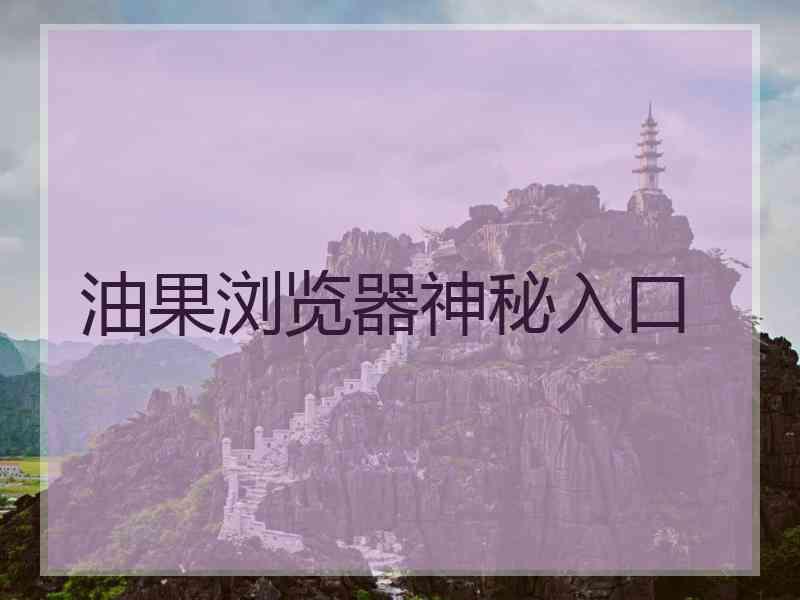 油果浏览器神秘入口