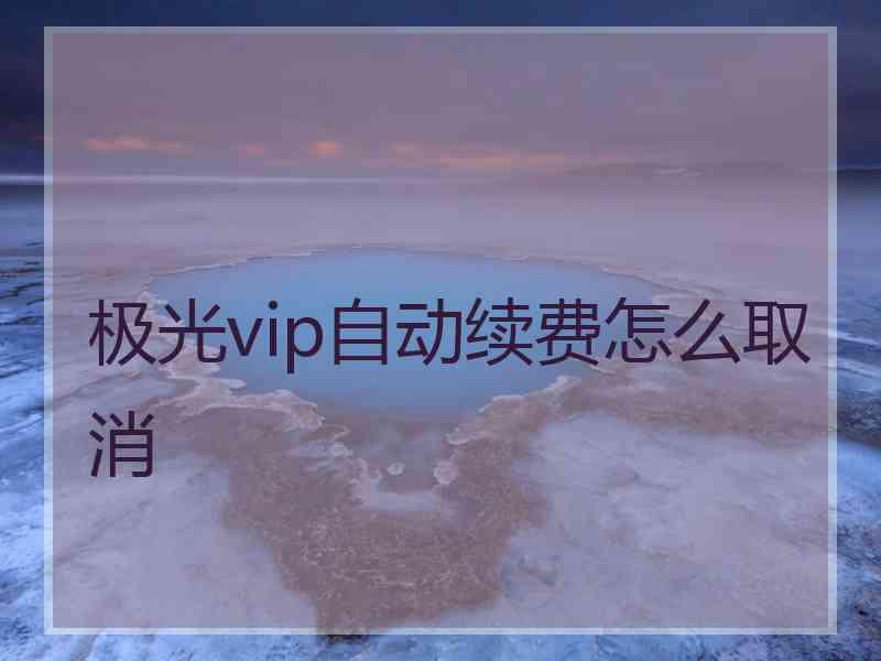 极光vip自动续费怎么取消