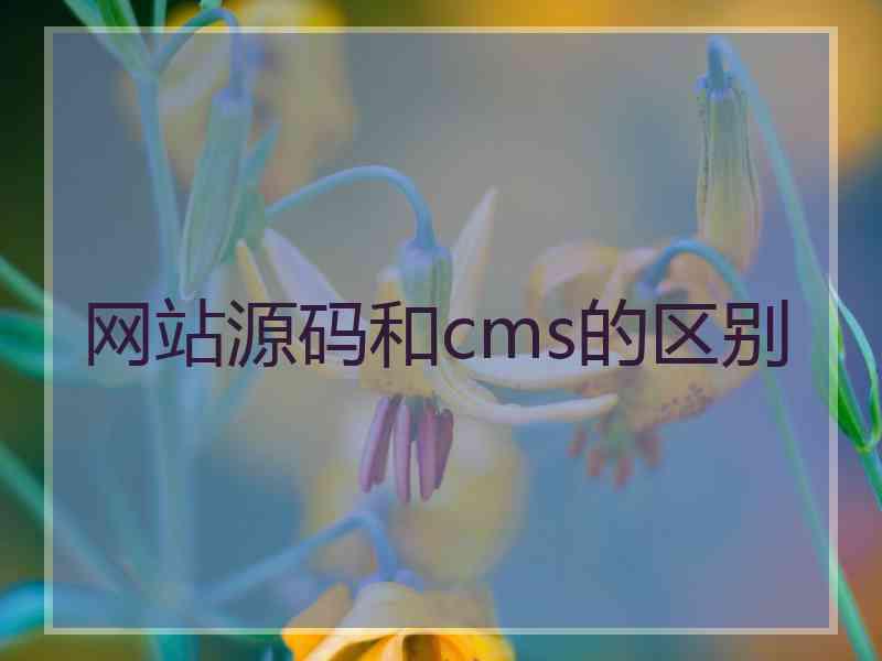 网站源码和cms的区别