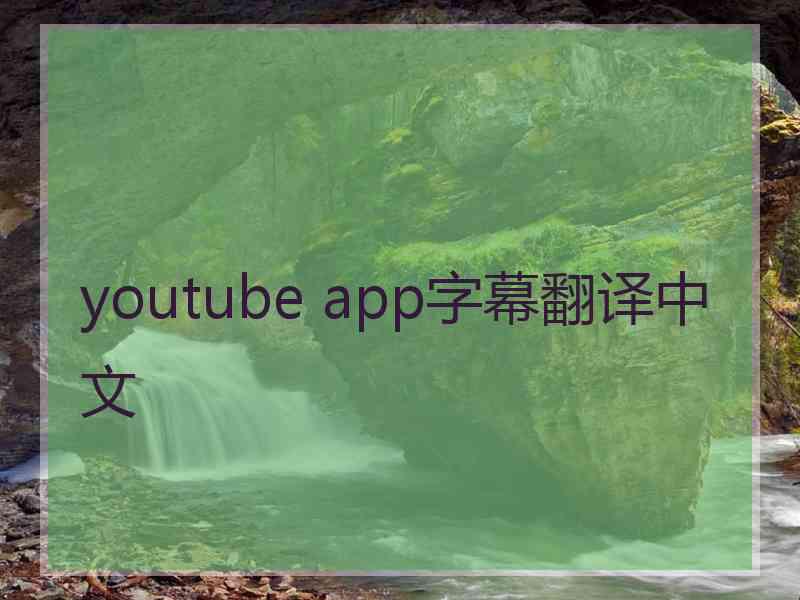 youtube app字幕翻译中文