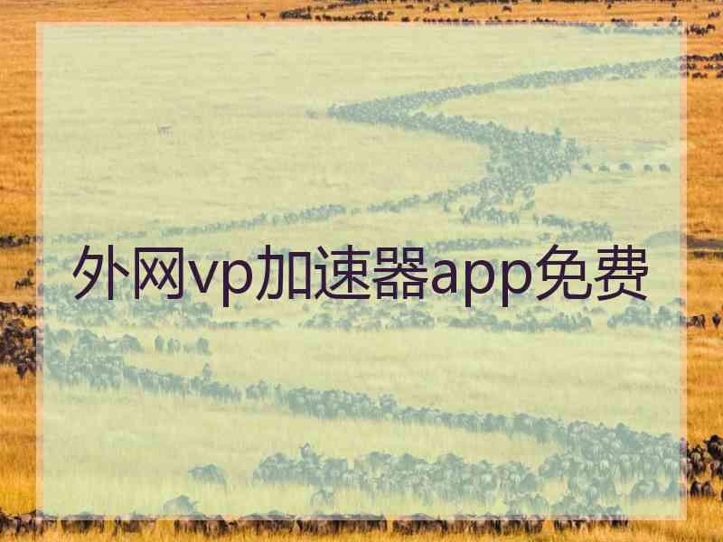 外网vp加速器app免费