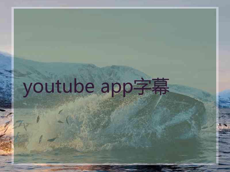 youtube app字幕